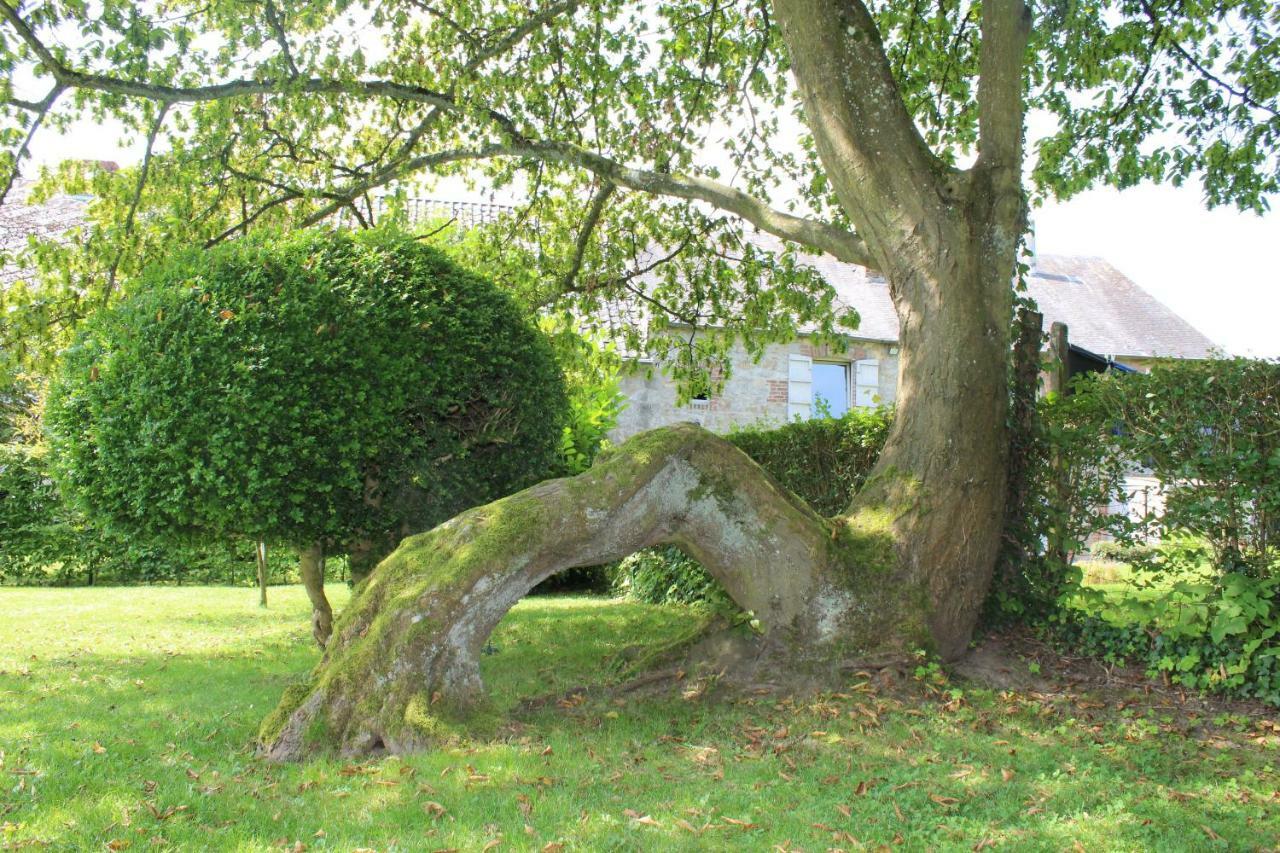 Gite De L'Ehm Villa Custinne ภายนอก รูปภาพ